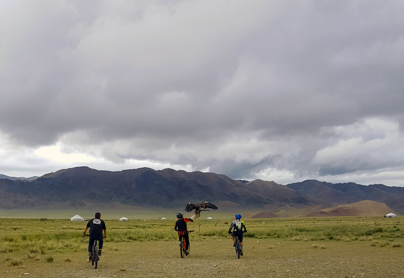 Cycling with Golden Eagles